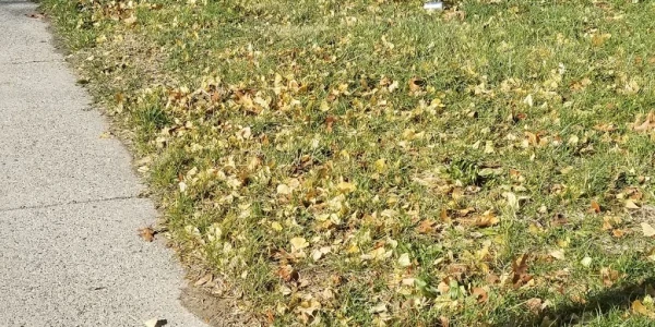 Zepf Center - Woodruff